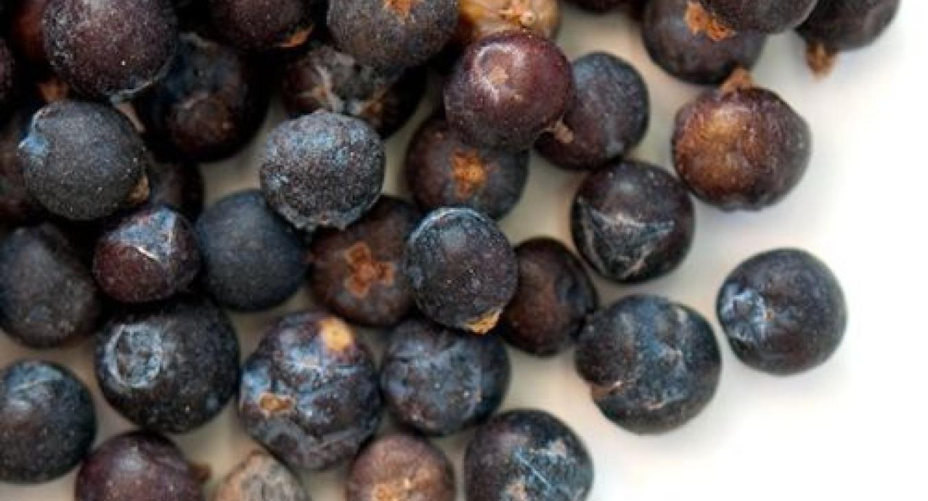 Gin Berries